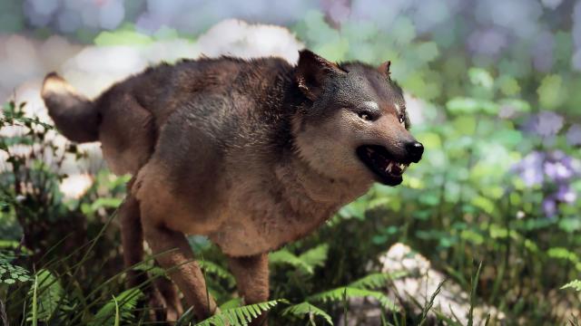 Вовки Скайріма / Wolves of Skyrim для Skyrim SE-AE