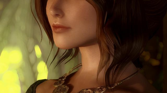 Красивые жены / Bijin Wives SE для Skyrim SE-AE