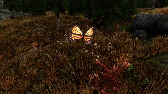 Rally&rsquo;s Butterflies and Moths for Skyrim SE-AE