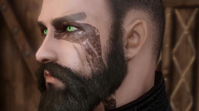 Бороди Чорної Бороди / Blackbeerd's Beards для Skyrim SE-AE