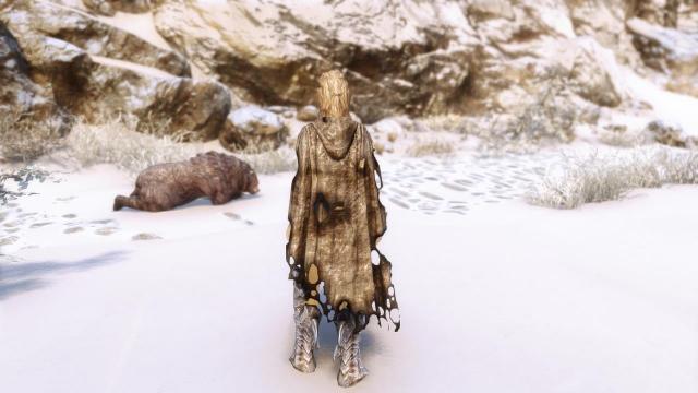 Ретекстур плащів із мода Cloaks Of Skyrim / Cloaks Of Skyrim Retextured SE для Skyrim SE-AE