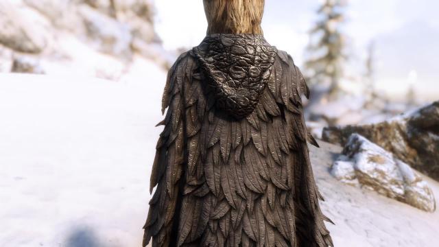 Ретекстур плащів із мода Cloaks Of Skyrim / Cloaks Of Skyrim Retextured SE для Skyrim SE-AE