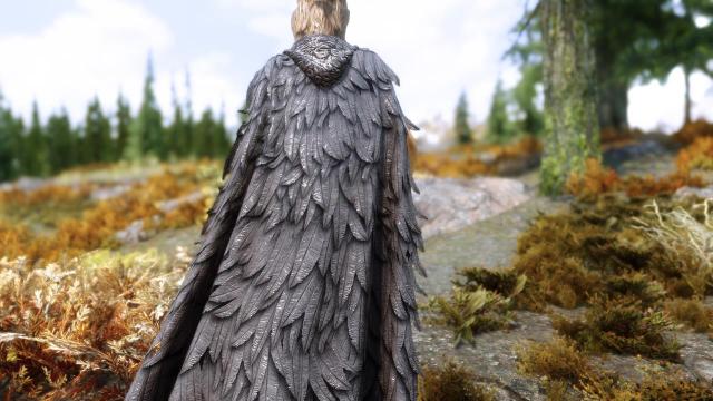 Ретекстур плащів із мода Cloaks Of Skyrim / Cloaks Of Skyrim Retextured SE для Skyrim SE-AE