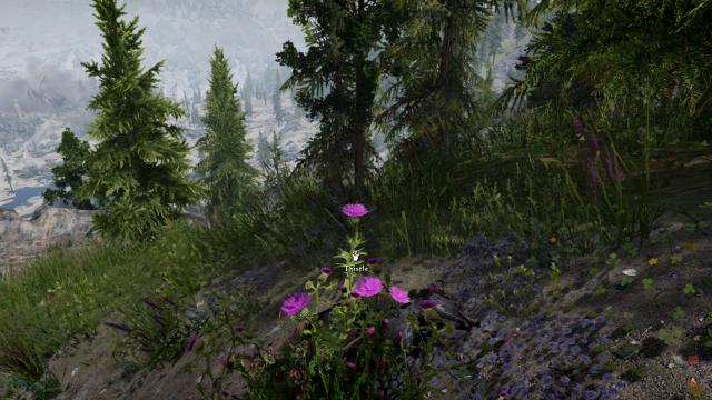Oblivion Interaction Icons for Skyrim SE-AE