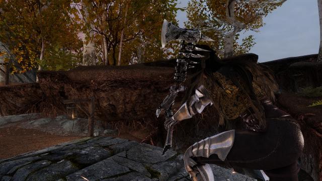 Skeleton Axe для Skyrim SE-AE