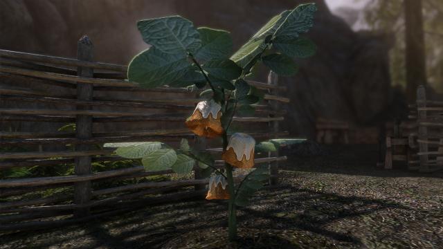 Harvestable Sweetrolls