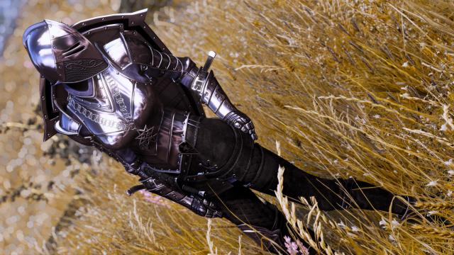 DX Dark Knight Armor - UNP for Skyrim SE-AE