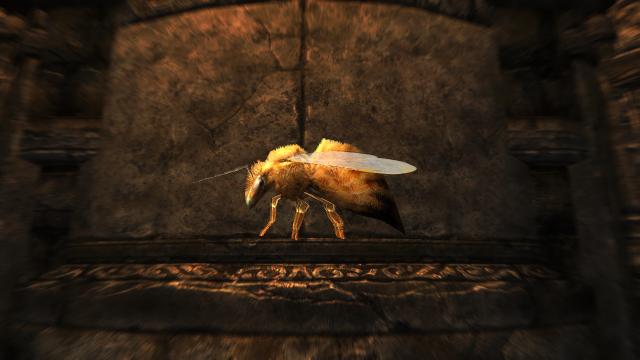 HD бджоли та бджолині соти / HD Bees and Honeycombs для Skyrim SE-AE