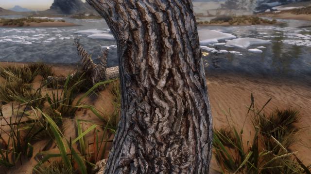 HD Dead Trees and Driftwoods - HD Засохлі дерева для Skyrim SE-AE