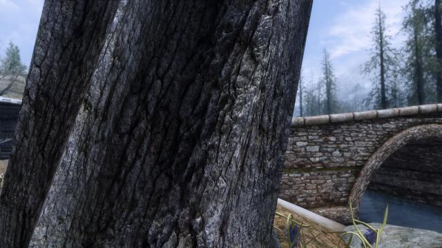 HD Dead Trees and Driftwoods - HD Засохлі дерева для Skyrim SE-AE