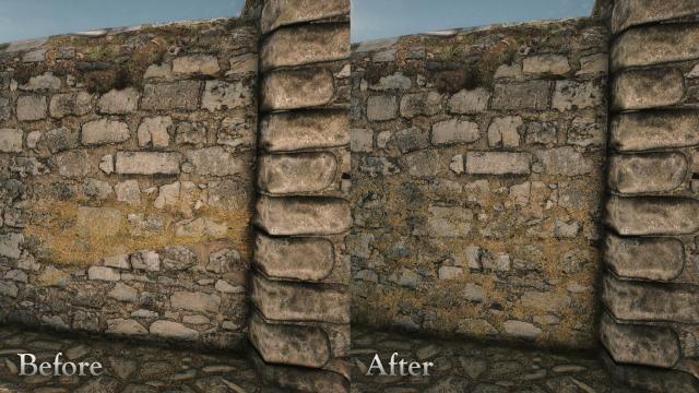Major Cities Mesh Overhaul для Skyrim SE-AE