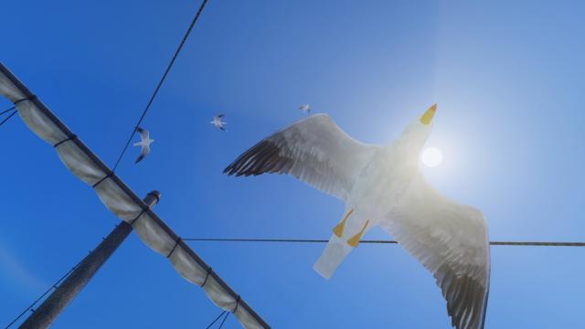 Чайки Скайріма / Seagulls of Skyrim