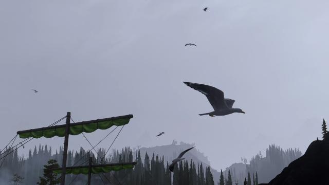 Чайки Скайріма / Seagulls of Skyrim для Skyrim SE-AE