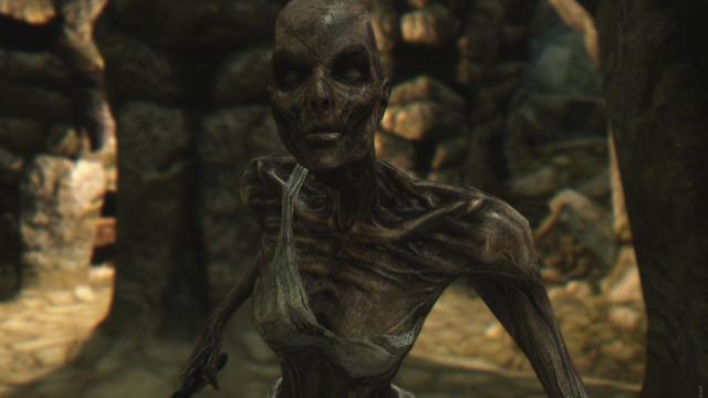 Draugr - Драугр для Skyrim SE-AE