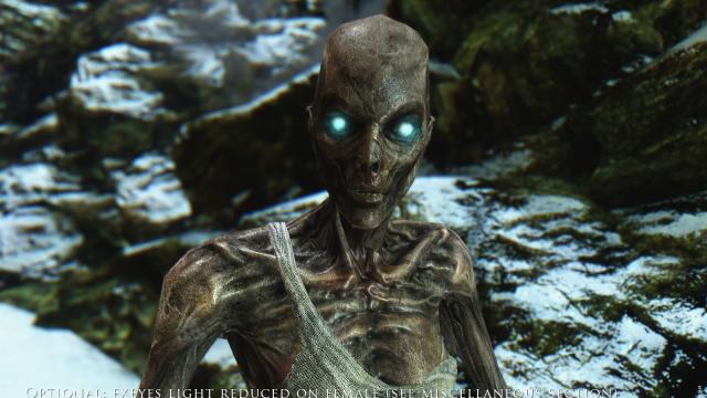 Draugr - Драугр для Skyrim SE-AE