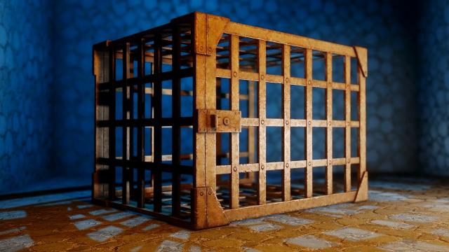 HD   JS Common Cages SE