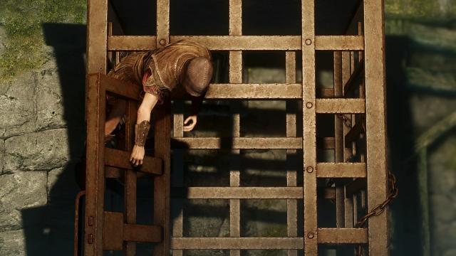 HD   JS Common Cages SE for Skyrim SE-AE