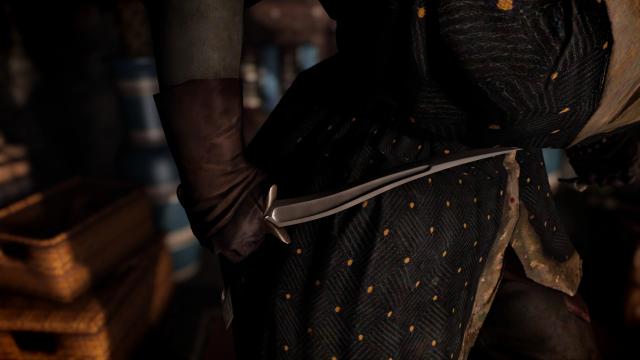 Elven Daggers для Skyrim SE-AE