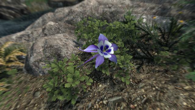 3D Гірські квіти / Cathedral - 3D Mountain Flowers для Skyrim SE-AE