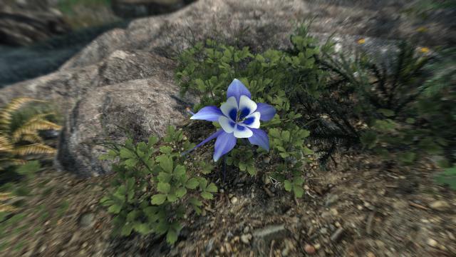 3D Гірські квіти / Cathedral - 3D Mountain Flowers для Skyrim SE-AE