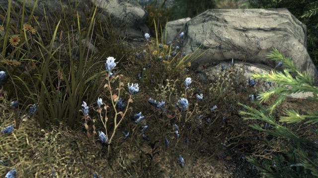 3D Гірські квіти / Cathedral - 3D Mountain Flowers для Skyrim SE-AE