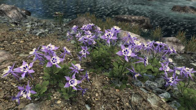 3D Горные цветки / Cathedral - 3D Mountain Flowers для Skyrim SE-AE