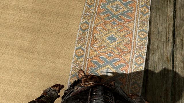 Immersive First Person View -