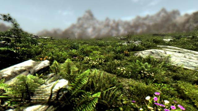 Summer Skyrim Overhaul HD - for Skyrim SE-AE