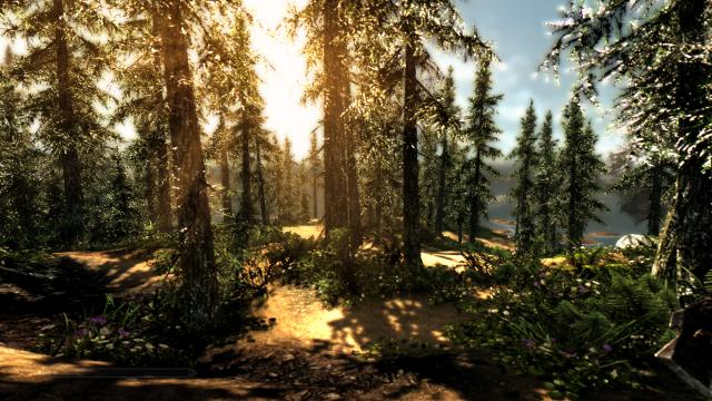 Summer Skyrim Overhaul HD - for Skyrim SE-AE