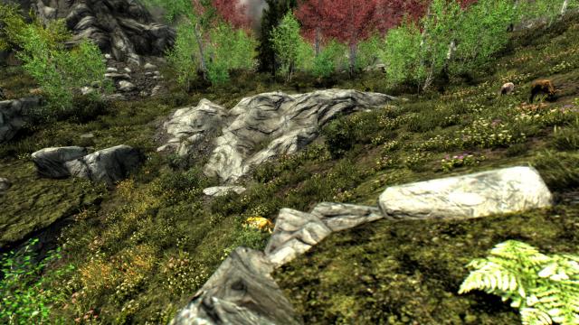 Summer Skyrim Overhaul HD - for Skyrim SE-AE