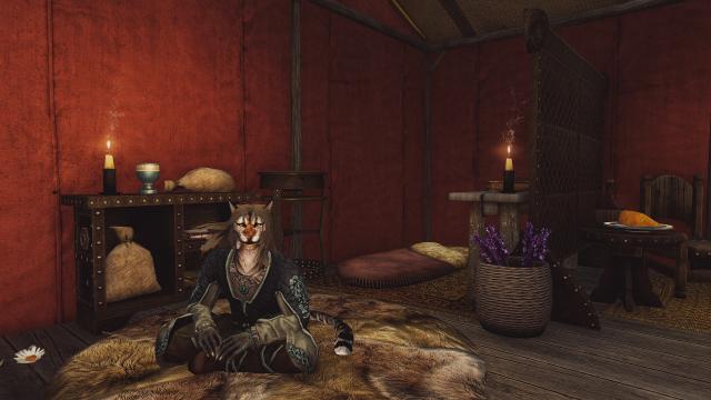 Khajiit Has Tents for Skyrim SE-AE