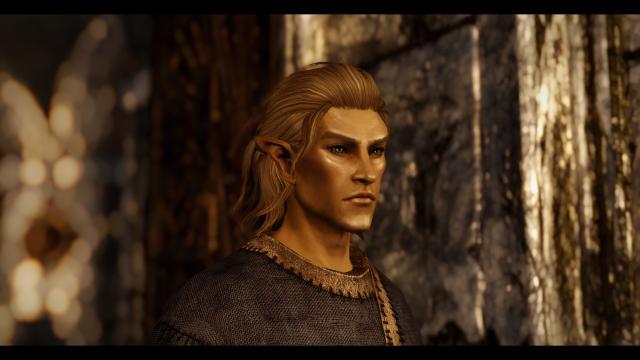Pandorable's NPCs - males 2 для Skyrim SE-AE