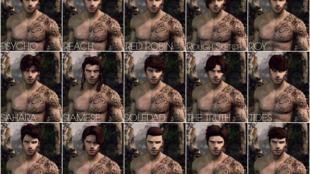 KS Hairdos SSE для Skyrim SE-AE