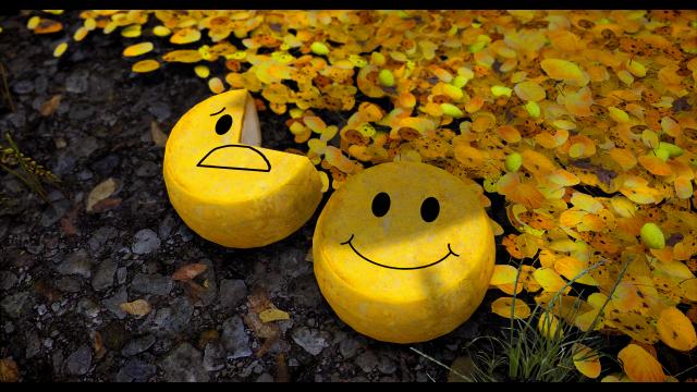 Happy Little Cheese Wheels