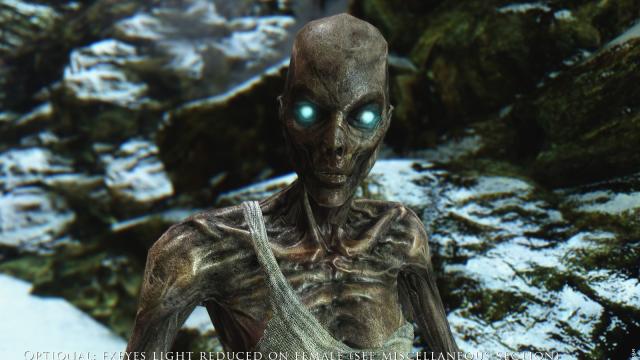 Draugr - Драугри для Skyrim SE-AE