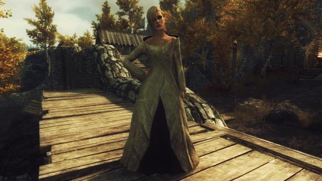 Розкішна сукня / Noble Dress для Skyrim SE-AE