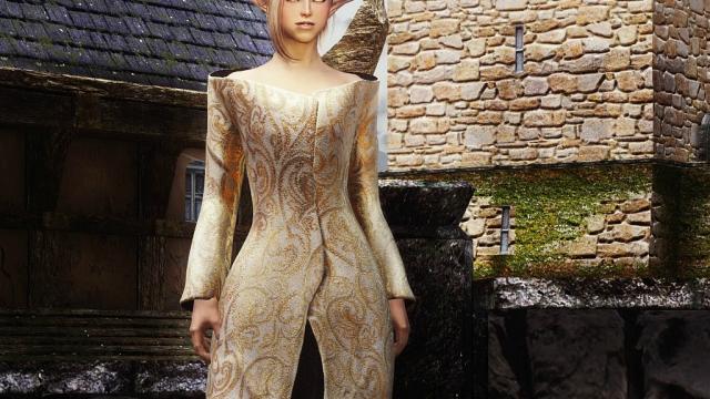 Розкішна сукня / Noble Dress для Skyrim SE-AE