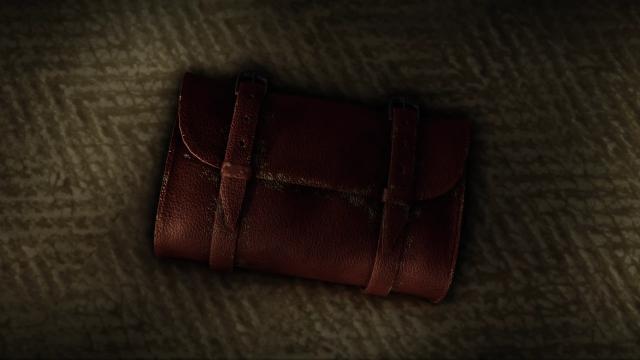 Satchel Replacer for Skyrim SE-AE
