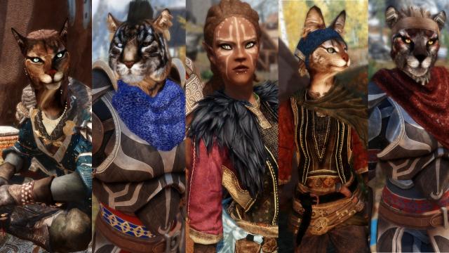 Project ja-Kha'jay- Khajiit Diversity Overhaul