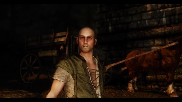 Pandorable's NPCs - males 3 для Skyrim SE-AE