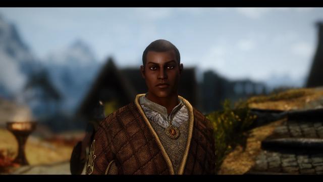 Pandorable's NPCs - males 3 для Skyrim SE-AE