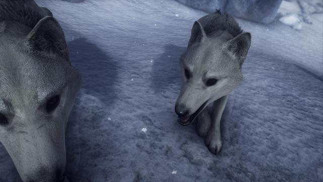 Снежные животные в снежных регионах / Snow Animals Spawn in Snowy Regions