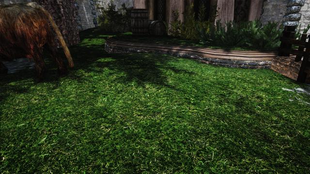 Зелена трава для Вайтрана / Green Grass For Whiterun для Skyrim SE-AE