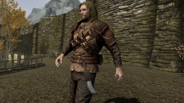 Assassin&rsquo;s Arsenal - Dagger Collection - for Skyrim SE-AE