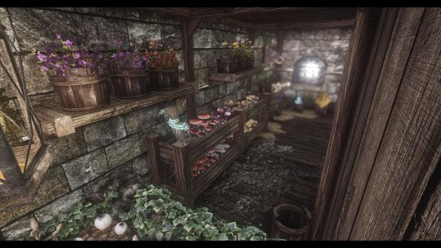 JK's White Phial for Skyrim SE-AE