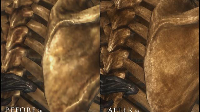 HD Скелети / Skeleton для Skyrim SE-AE