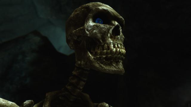 HD Скелети / Skeleton для Skyrim SE-AE