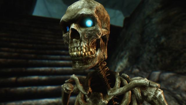 HD Скелети / Skeleton для Skyrim SE-AE