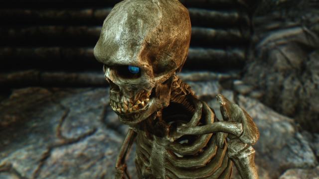 HD Скелети / Skeleton для Skyrim SE-AE