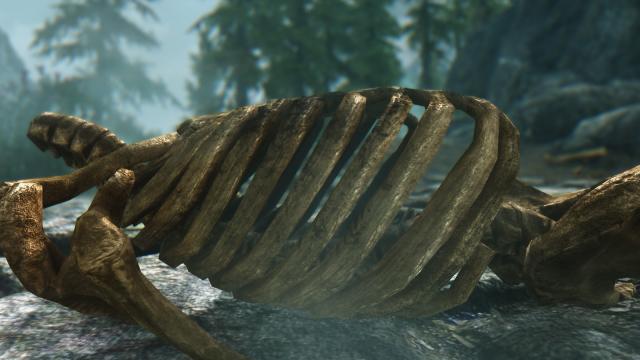 HD Скелети / Skeleton для Skyrim SE-AE